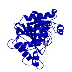 Image of CATH 2c8v