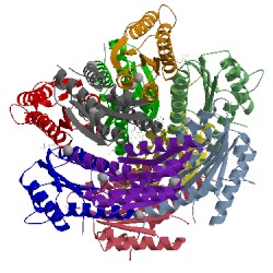 Image of CATH 2c9b