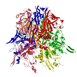 Image of CATH 2c9f