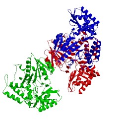 Image of CATH 2can