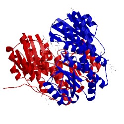 Image of CATH 2cb0