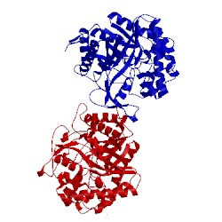 Image of CATH 2cbv