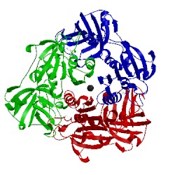 Image of CATH 2cc2