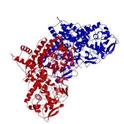 Image of CATH 2cca