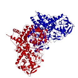 Image of CATH 2ccd