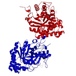 Image of CATH 2ccr