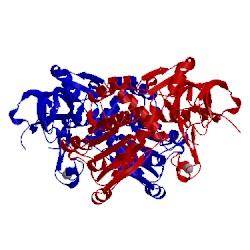 Image of CATH 2cd9