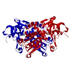 Image of CATH 2cda