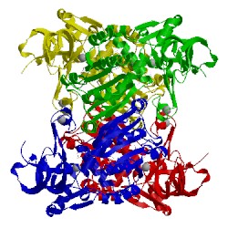 Image of CATH 2cdb