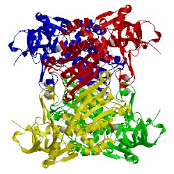 Image of CATH 2cdc