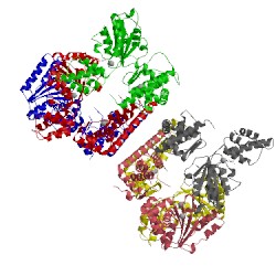 Image of CATH 2cea