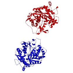 Image of CATH 2ceq