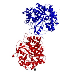 Image of CATH 2ces