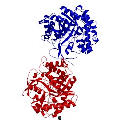 Image of CATH 2cet