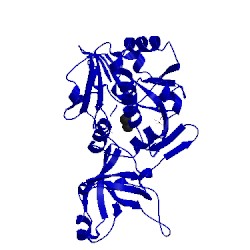 Image of CATH 2cf4