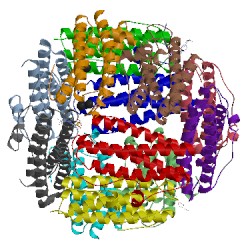 Image of CATH 2cf7