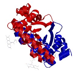 Image of CATH 2cfa