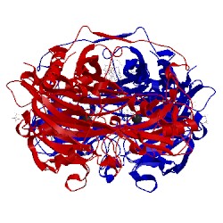 Image of CATH 2cfd