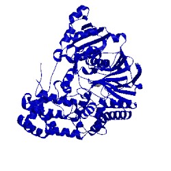 Image of CATH 2cg2