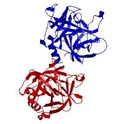 Image of CATH 2cga