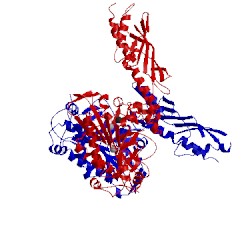 Image of CATH 2cjb