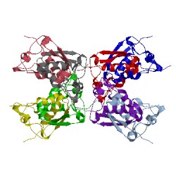 Image of CATH 2cjr
