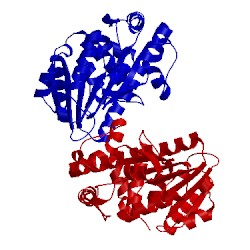 Image of CATH 2ckd