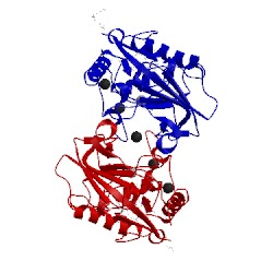 Image of CATH 2cki