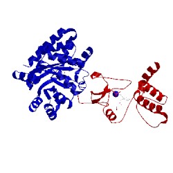 Image of CATH 2clm