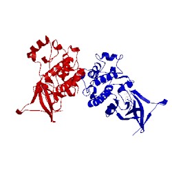 Image of CATH 2clq