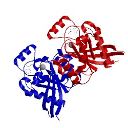 Image of CATH 2cls