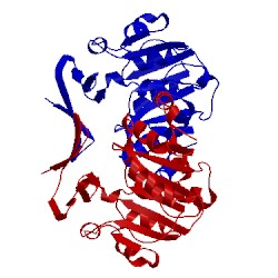 Image of CATH 2cmg