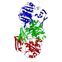 Image of CATH 2cmh