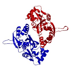 Image of CATH 2cmo