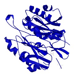Image of CATH 2cmu