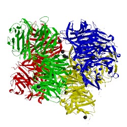 Image of CATH 2cn2