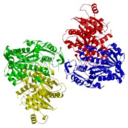 Image of CATH 2cnb