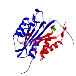 Image of CATH 2cnk