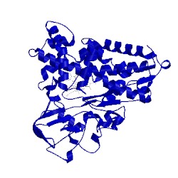Image of CATH 2cp4
