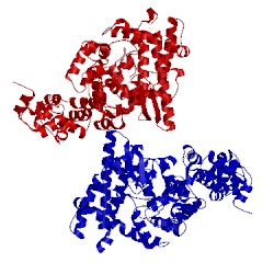 Image of CATH 2csb