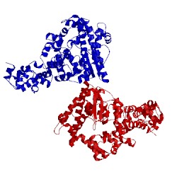 Image of CATH 2csd