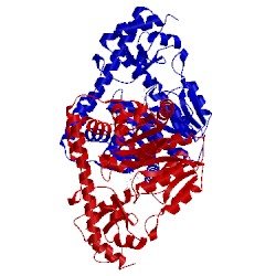 Image of CATH 2cst