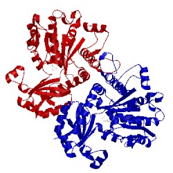 Image of CATH 2ctz