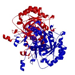 Image of CATH 2cu0