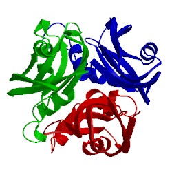 Image of CATH 2cu5