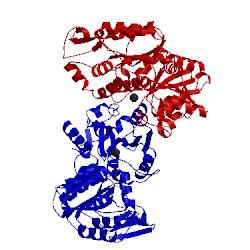 Image of CATH 2cun
