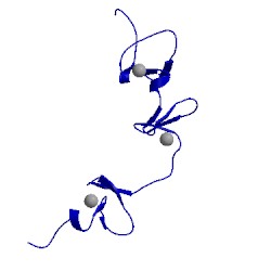 Image of CATH 2cup