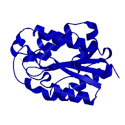 Image of CATH 2cut