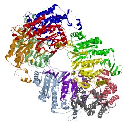 Image of CATH 2cv4