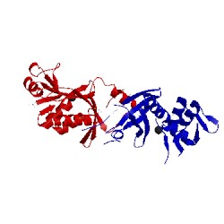 Image of CATH 2cv8